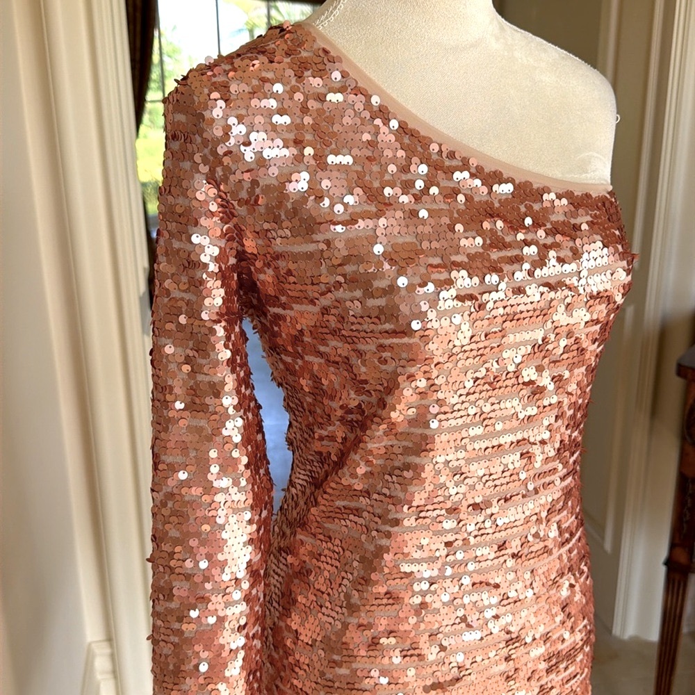 Blush Pink Sequin Dress by BCBG Max Azria